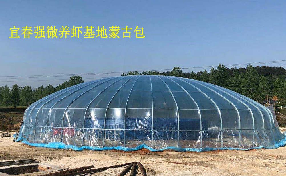 海白虾养虾技术新手入门,养海虾的技术和方法