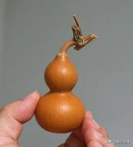美国手捻葫芦值得盘吗,手捻葫芦已经盘了两年