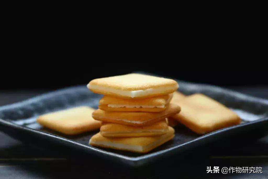 日式网红薄饼干,日本饼干伴手礼