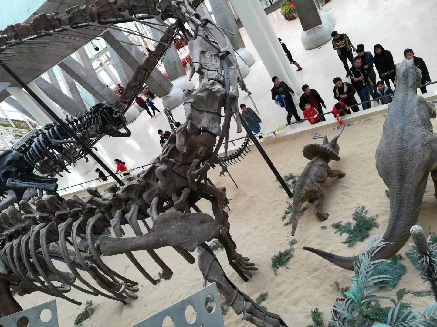 天津市内旅游攻略推荐,天津市区游玩攻略自由行攻略