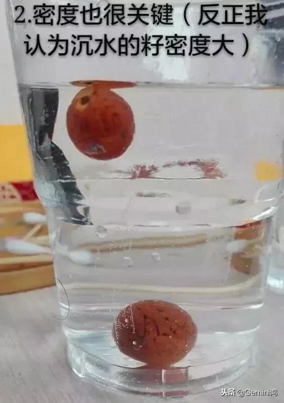 凤眼菩提盘玩10年效果图,凤眼菩提保养方法