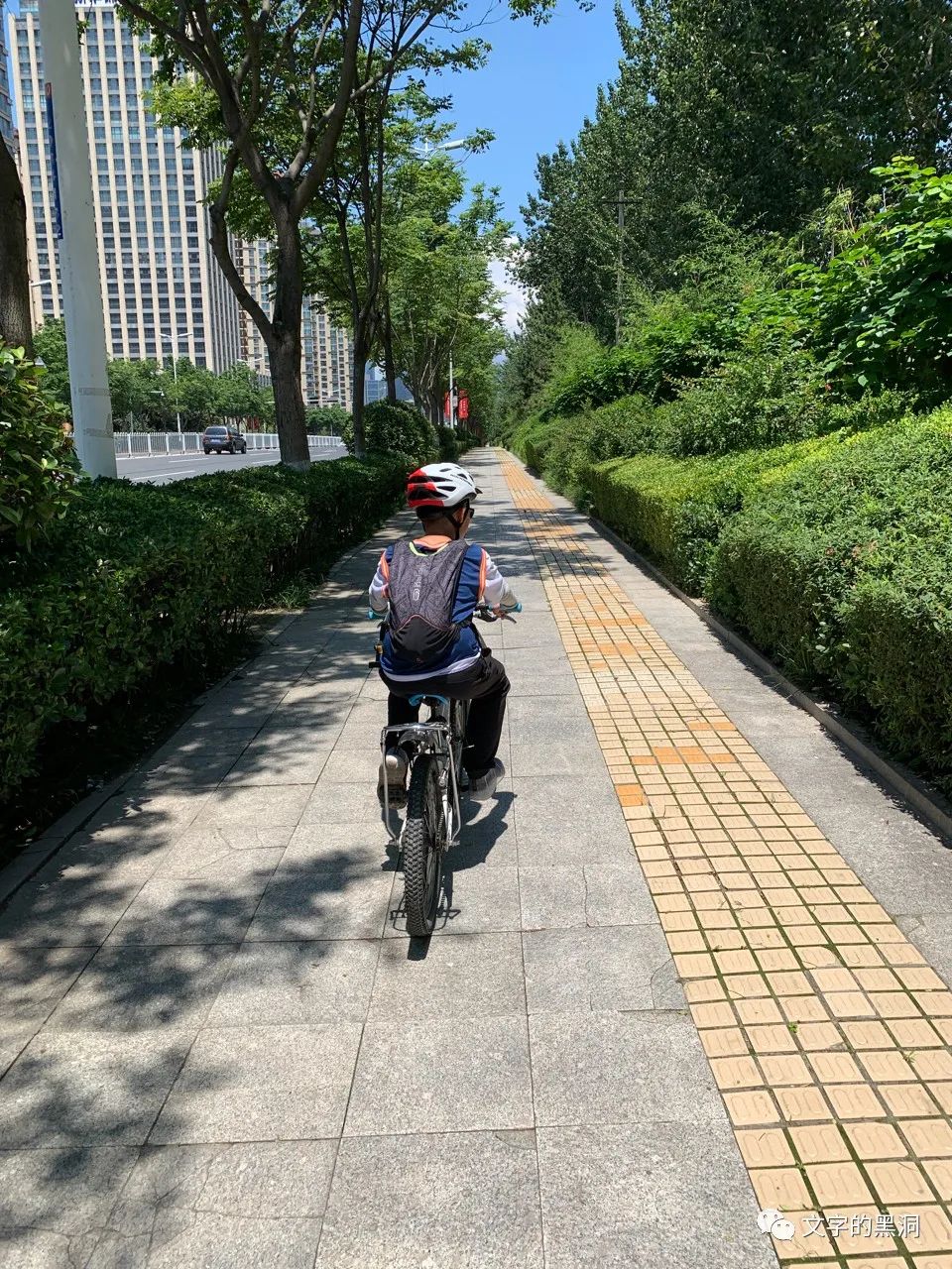 爸爸亲子夏令营,父子暑假旅行