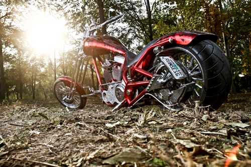 美国定制大象,美国定制大狗摩托车