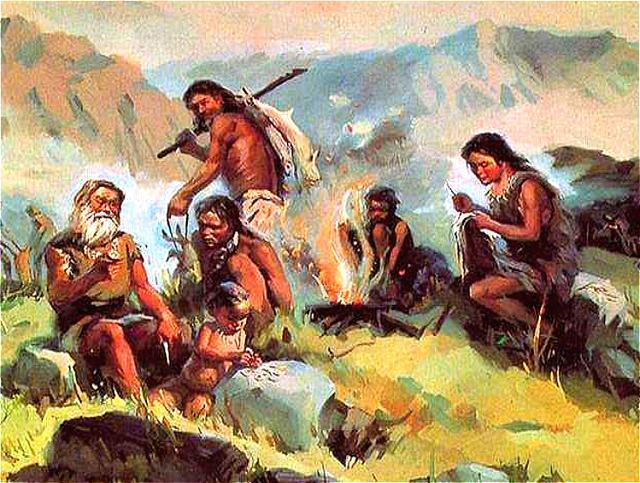 猪的历史怎么来的,猪的由来和猪的特点