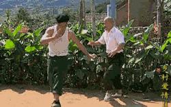 支付宝好医保长期医疗险都赔什么,支付宝哪种医疗保险最好