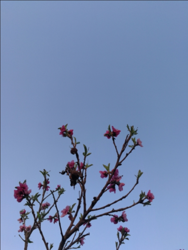 台式电脑可以换cpu升级吗,电脑升级如何更换cpu