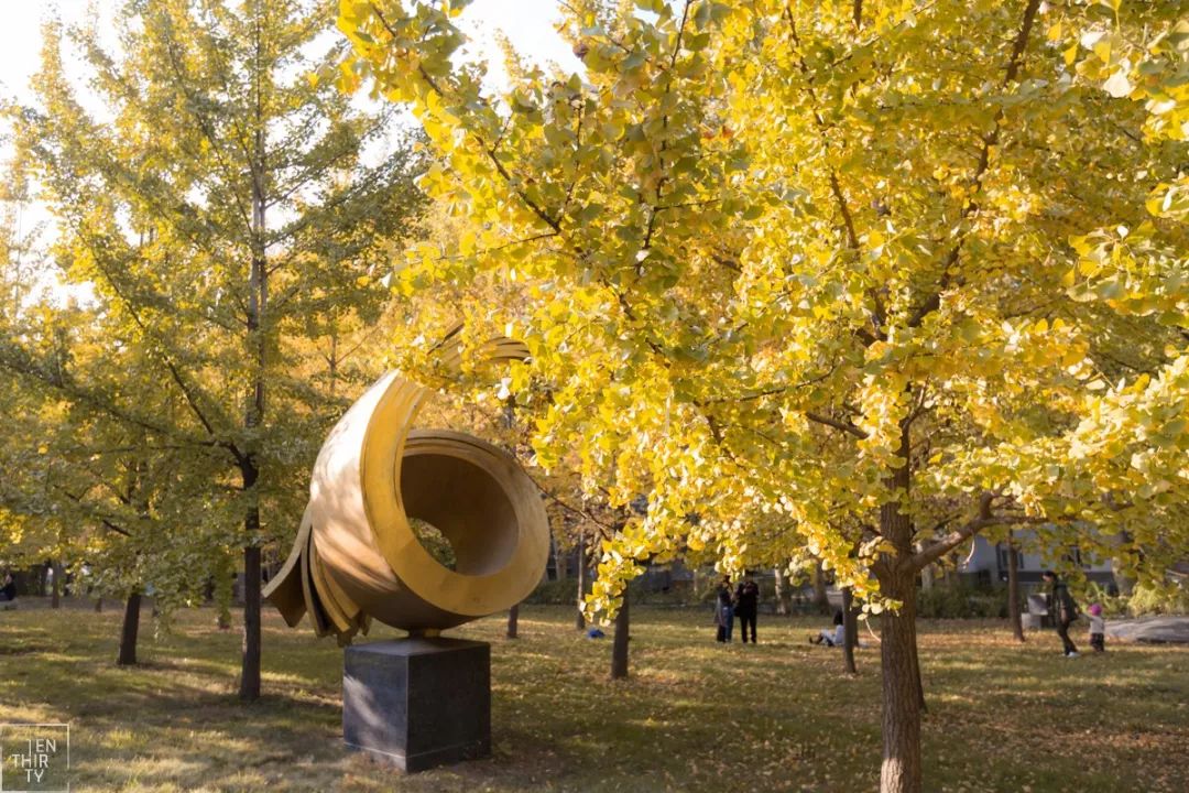 武汉11月打卡景点和网红地,武汉50个值得打卡的地方