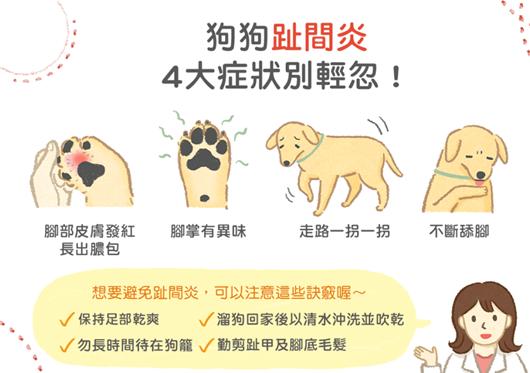 养狗10年才知道狗狗的3种居家检查,养狗的10大疾病解决方法