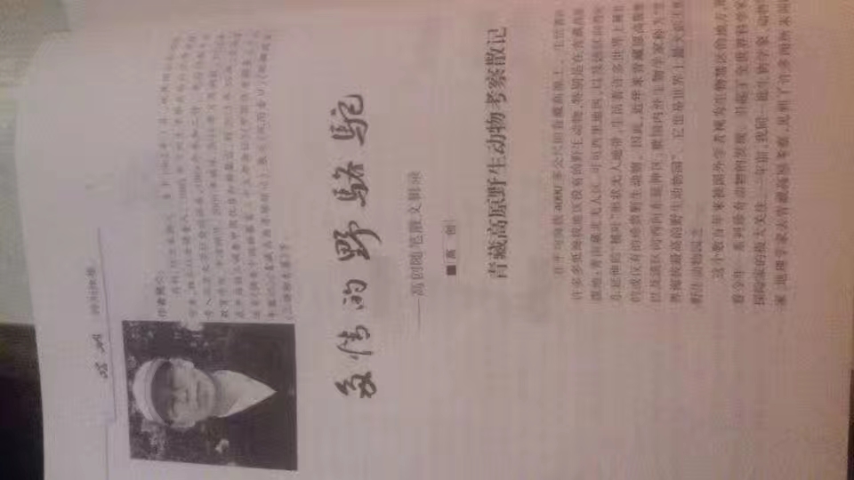 高原彩虹----评西北已故学者高创的生态散文随笔