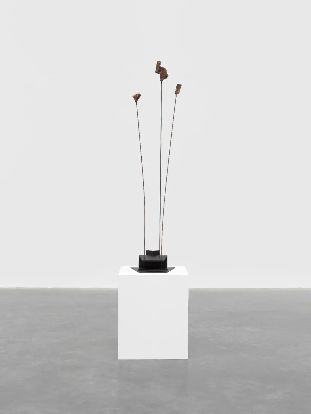 西岸艺术与设计博览会门票,西岸艺术与设计博览会