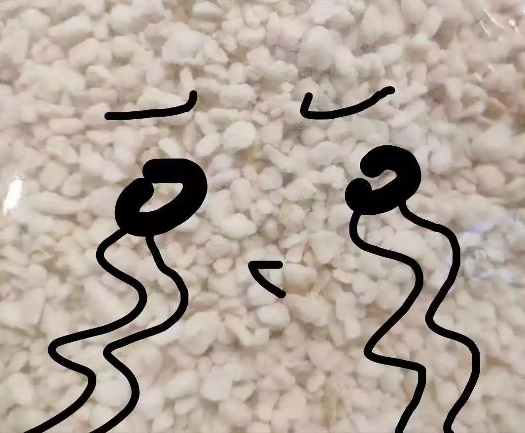 那些年被我们误会的名字,那些年被误会的歌