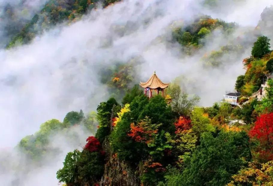 停车坐爱枫林晚霜叶红于二月花,西安秋季开车看红叶最好去处