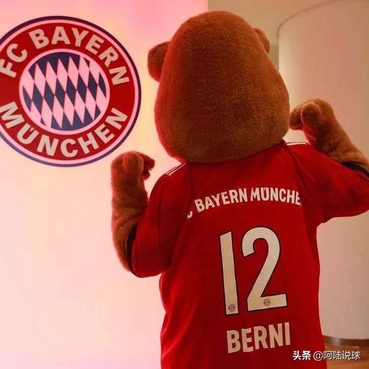 奥迪杯性质是什么,穆勒奥迪杯