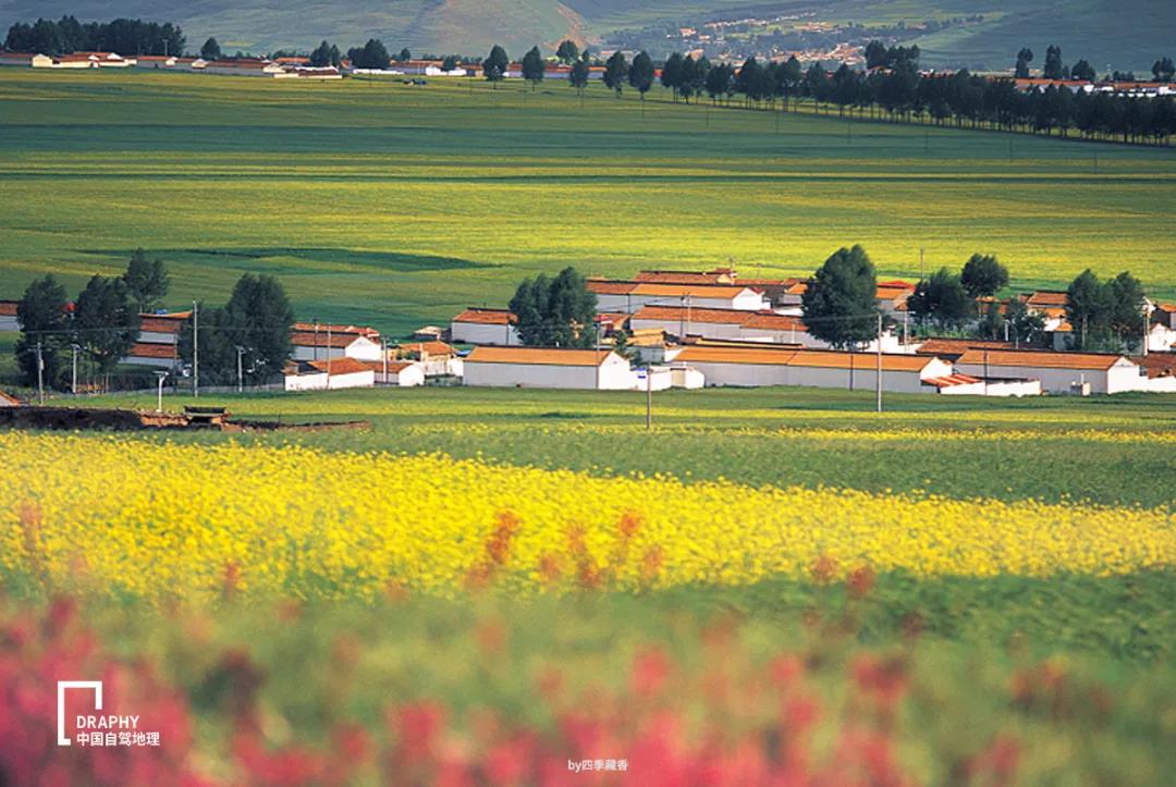 青海湖攻略2019,青海湖小环线自驾游最新攻略