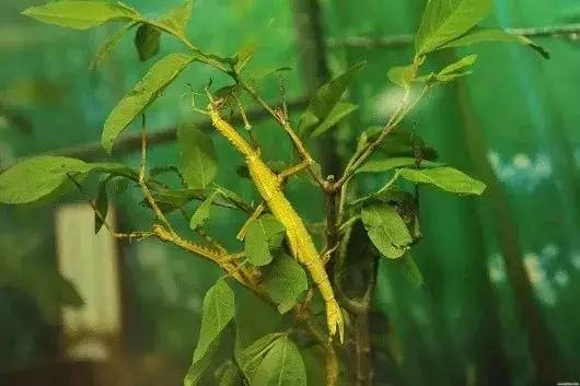 适合遛娃的亲子博物馆,周末遛娃好去处自然博物馆