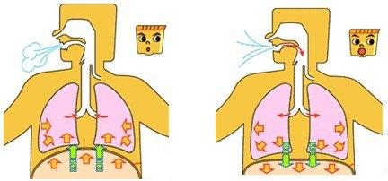 怎么用瓶子和气球做出好玩的玩具,瓶子吹气球小实验玩法