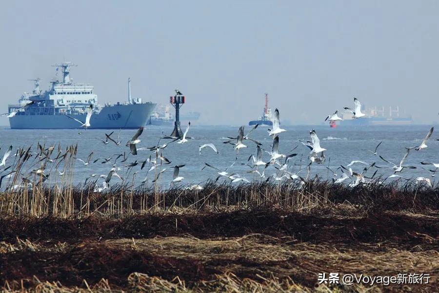 27个世界湿地日,世界湿地之都
