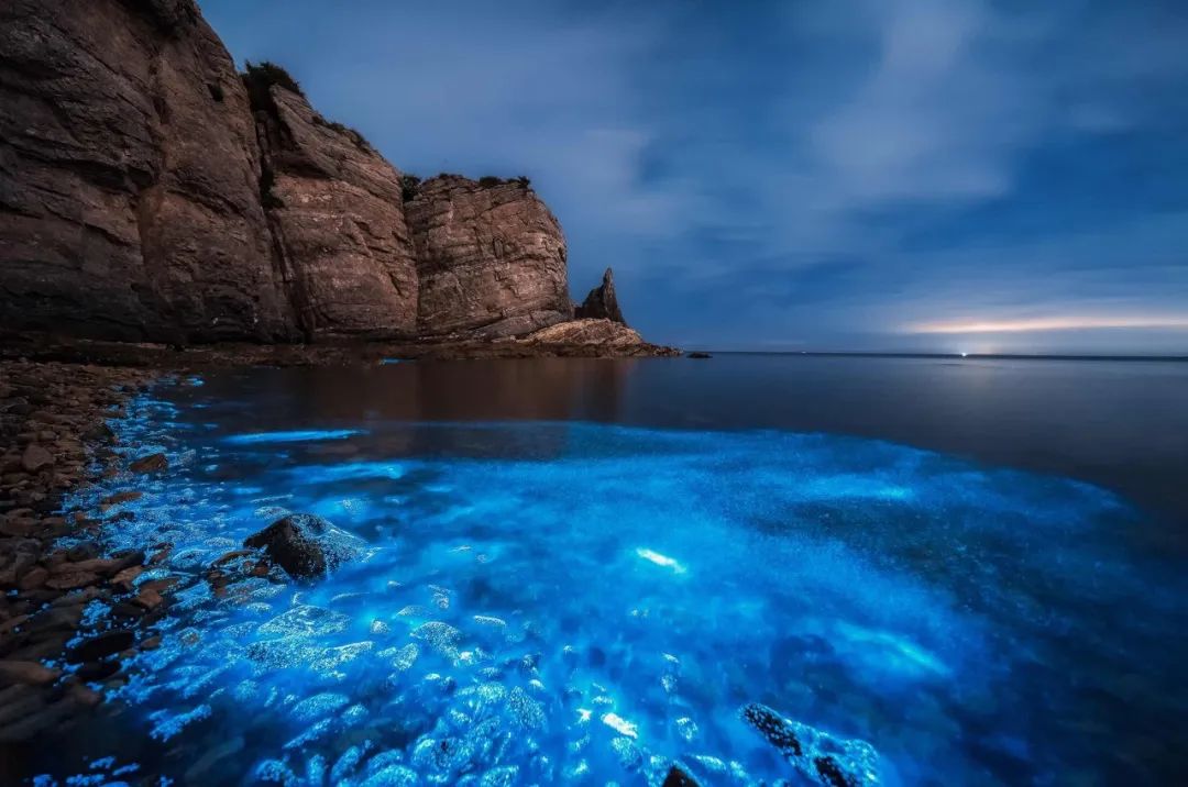 海滩再现绝美荧光海宛如蓝色星河,成都荧光海滩