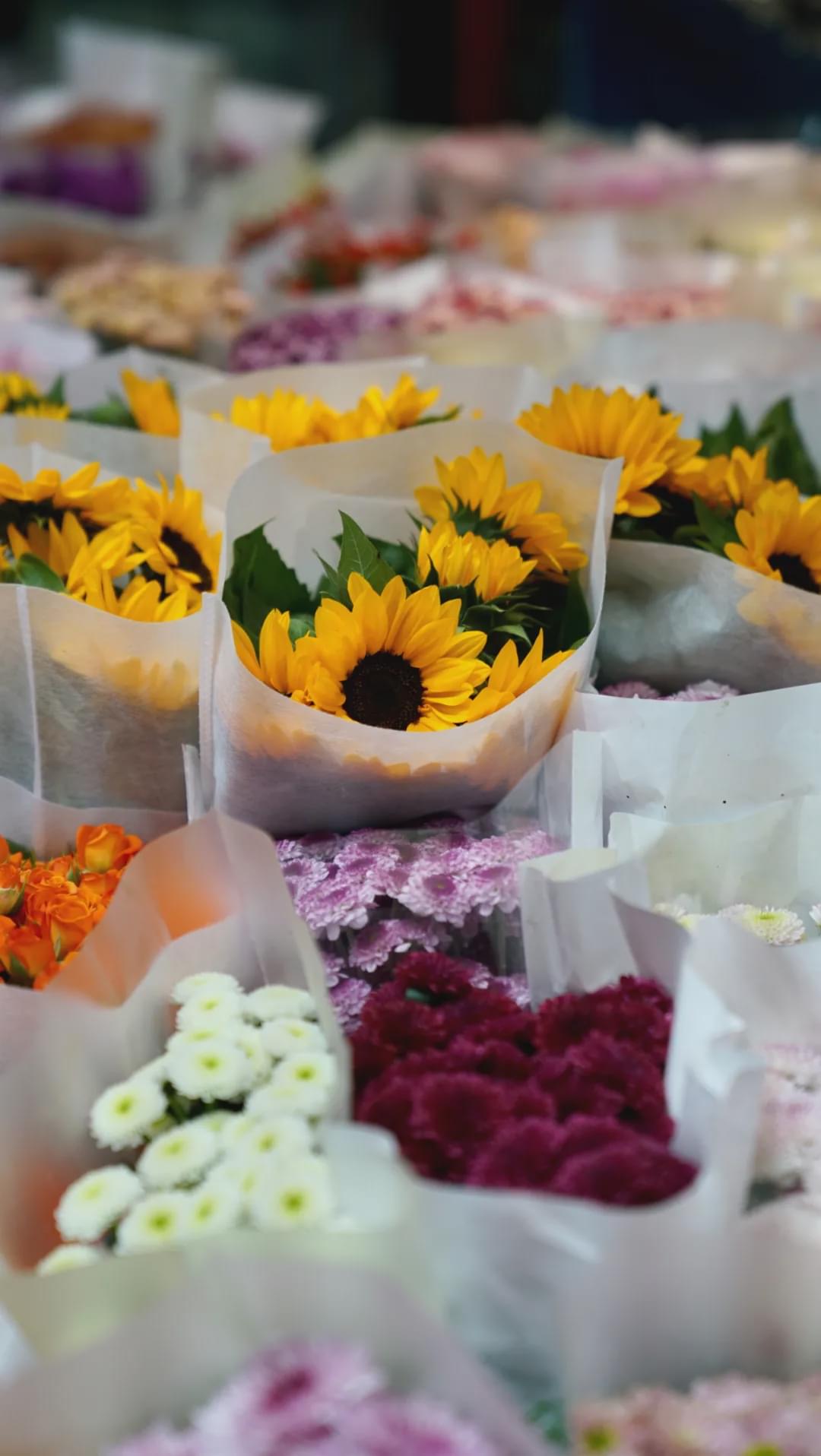 乌鲁木齐花市在哪里光明路附近,乌鲁木齐的花市在哪里