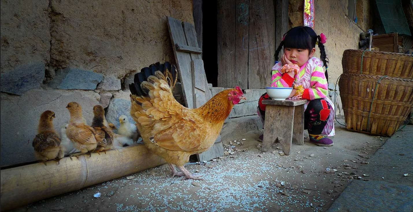 乡土散文我小时候,涂阳斌的乡土散文