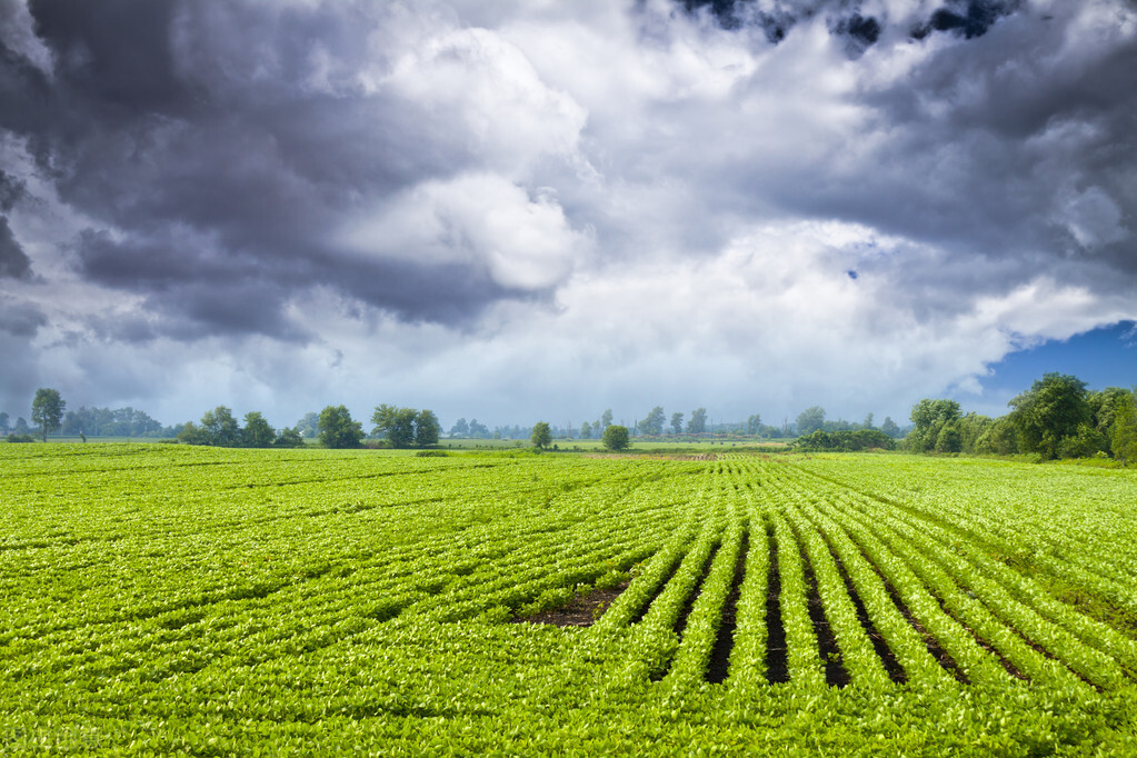 中亚与阿富汗,阿富汗的战略价值