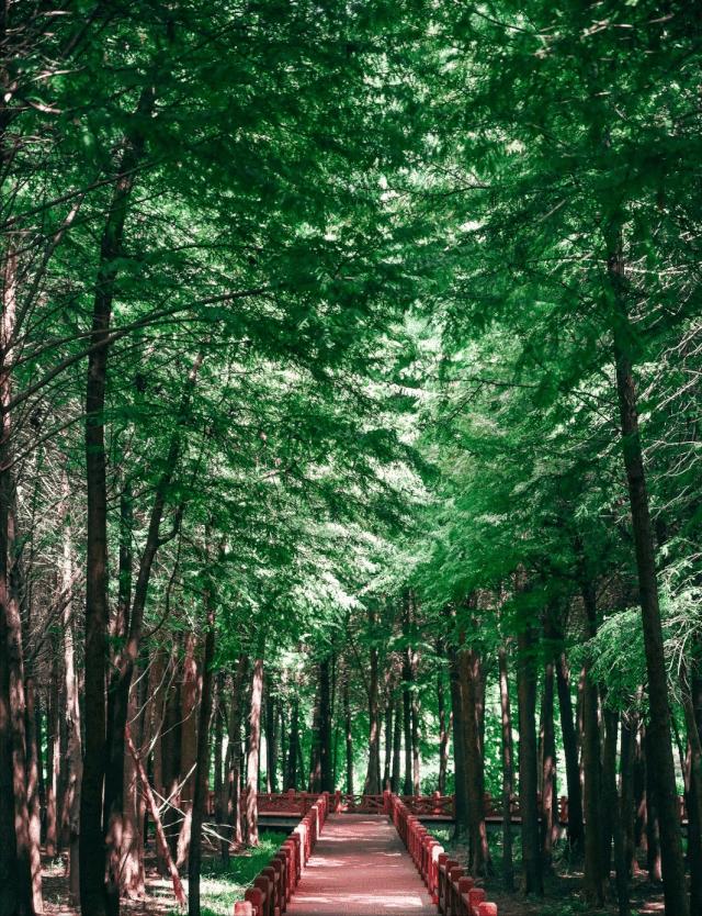 上海免费景点旅游攻略一日游,上海免费游玩景点推荐