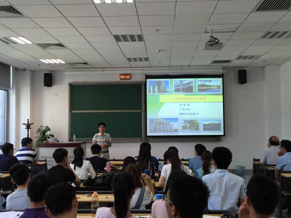 红木文化课程受追捧50多所大学在线选修众人自发在线学习