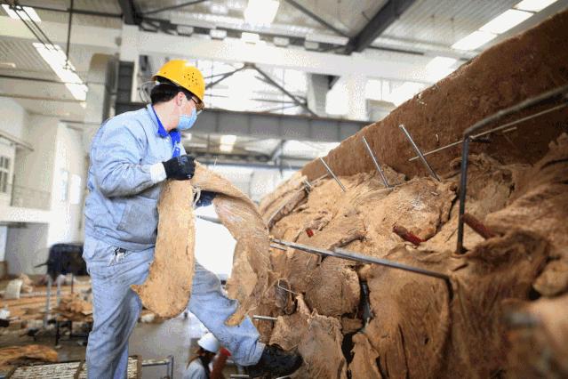 大连座头鲸标本,大连标本制作工厂