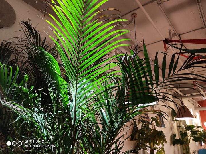 小米9旗舰手机测评,现在小米9还值不值得买