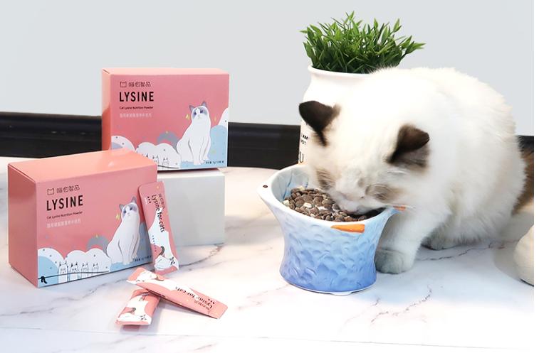 猫咪打喷嚏只是感冒吗?当心猫鼻支!新手养猫更要注意