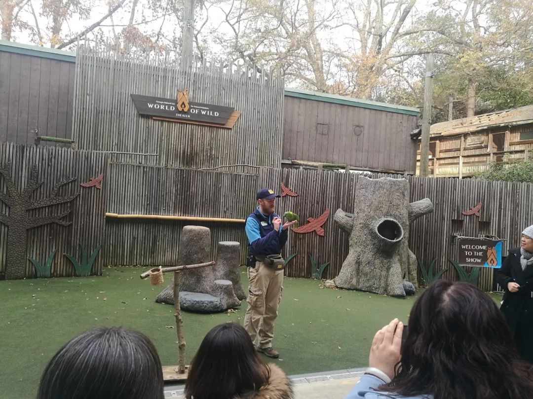 亚特兰大动物园,亚特兰大动物园和华盛顿动物园