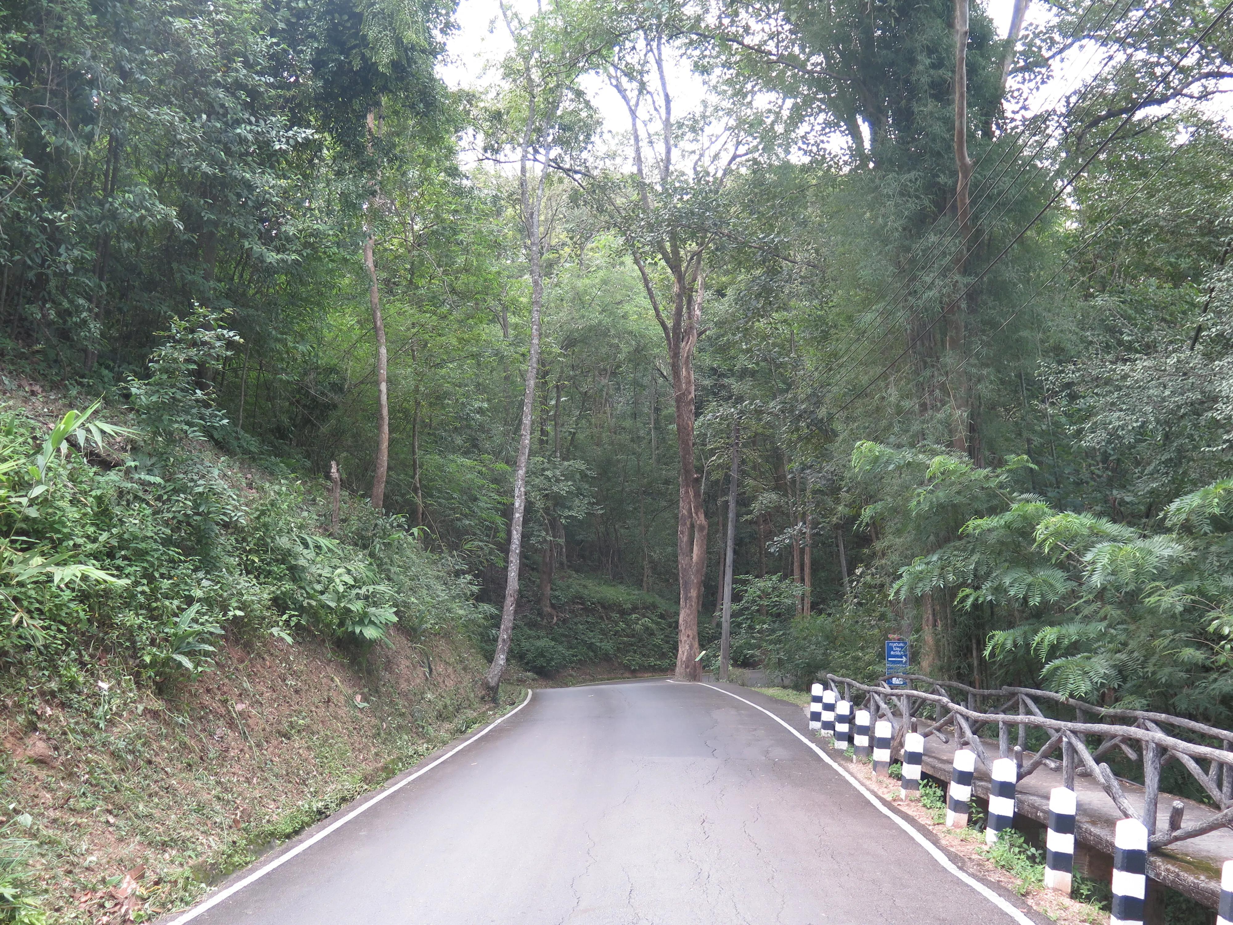 泰国旅游必备攻略值得收藏起来,去泰国旅游必须看的10件事