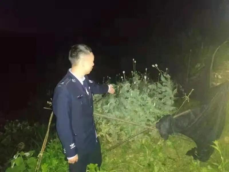 农民用土方治好类风湿性关节炎,老农治疗风湿关节疼