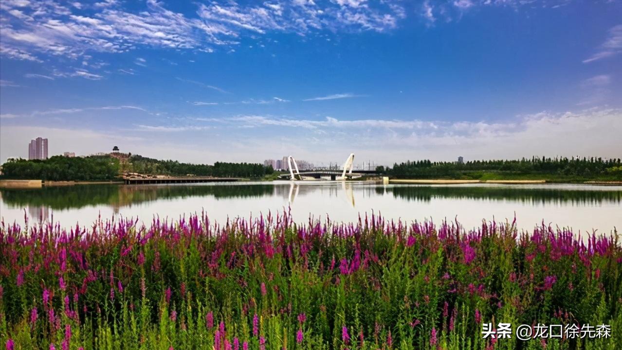 淄博张店湿地公园旅游攻略,淄博张店湿地公园