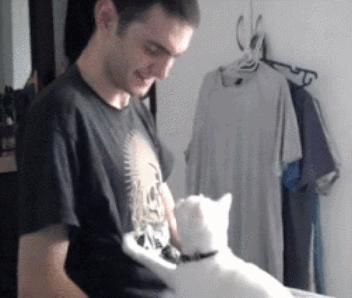 自从有了猫,自从有了猫慢慢变多余