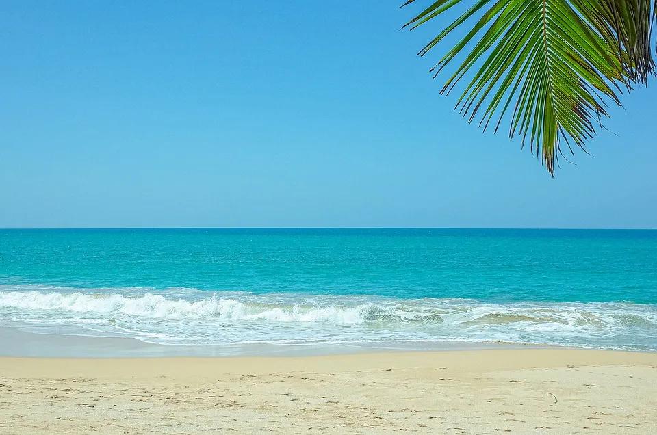 香港卖保险赚钱吗,卖保险的收入高么