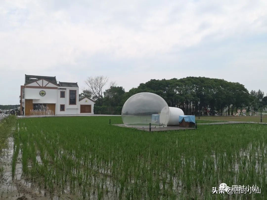 极简风网红民宿,8家网红民宿推荐