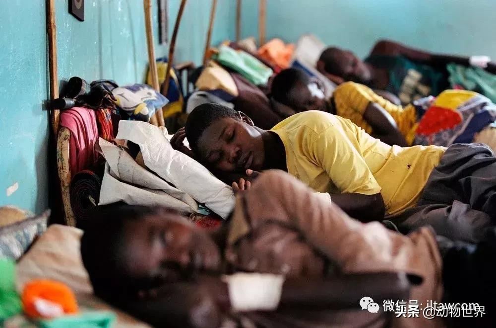 昏睡病能治吗,昏睡跟嗜睡