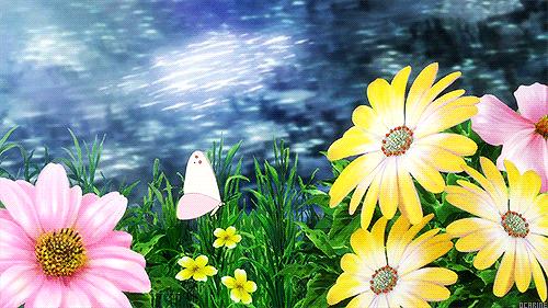 北大才女刘媛媛说的励志话,北大才女刘媛媛推荐读物