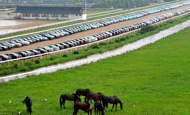 游玩东京2020奥运会,东京除了东京还有哪些玩的地方