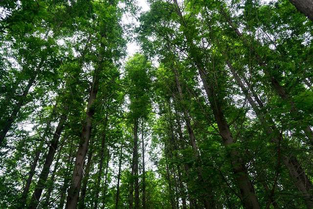 日照文旅,日照旅游攻略