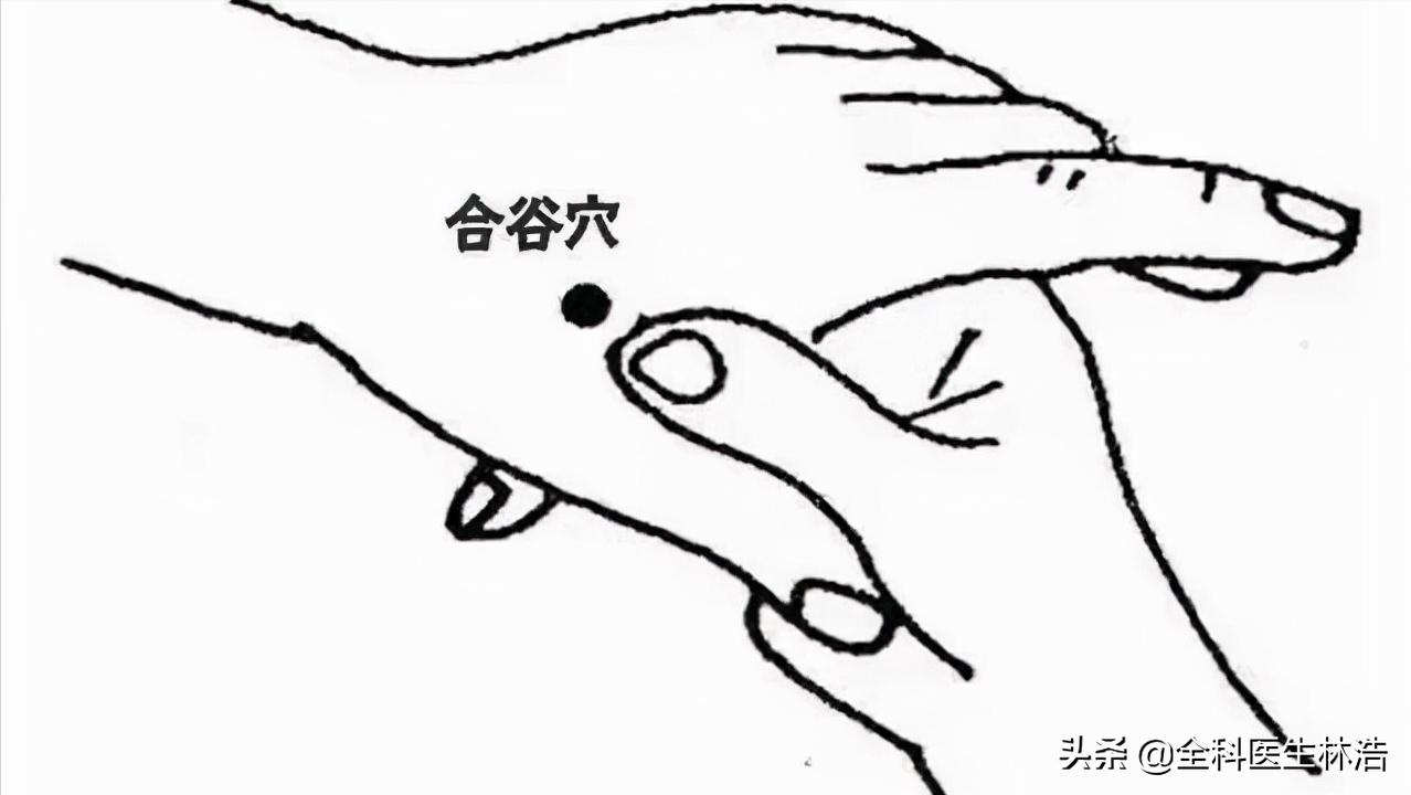 中医教你如何调理脾胃,中医如何教你调理脾胃