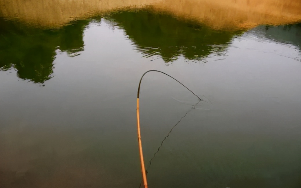 台钓竿与传统竿区别,台钓竿和普通杆有什么区别