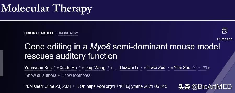 耳聋基因最新研究进展,基因治疗耳聋临床试验