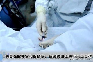 试管婴儿是不是是个很痛苦的事,为什么说试管婴儿母亲很受罪