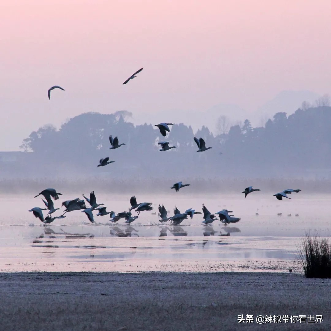 从西到东：贵州——沿河流“黔”行在这里一万种辣椒吃法向你奔来
