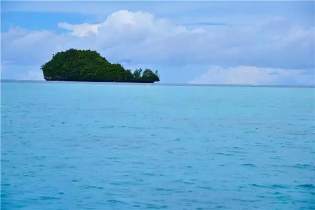 对帕劳之行的感悟,帕劳一场诗和远方的旅行