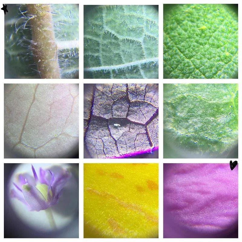 儿童最潮玩具,适合孩子玩的爆款玩具