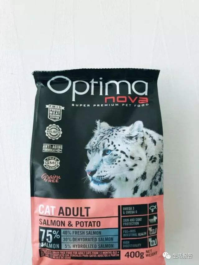 仅8.2%的猫粮符合标准！你是个合格的铲屎官么？