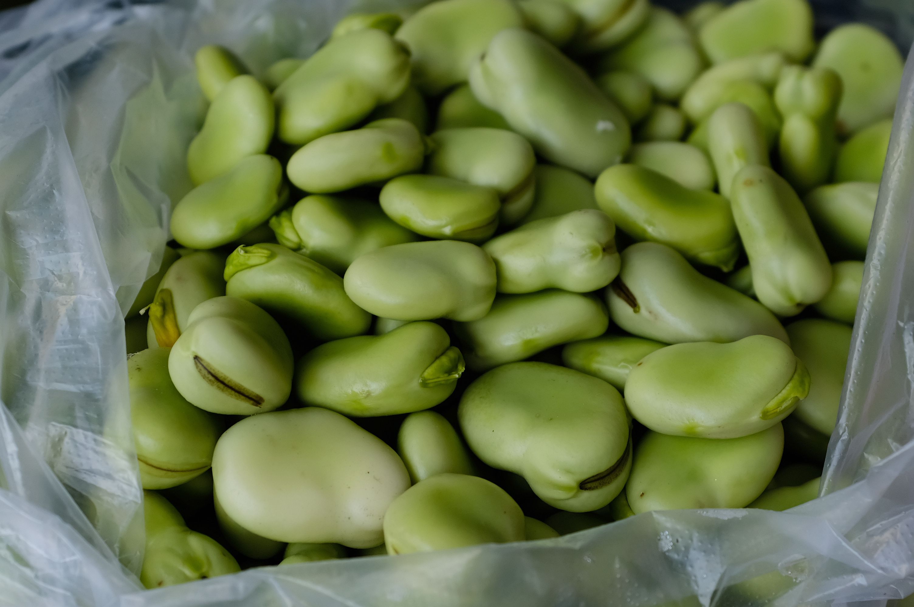 这么嗲的菜场你快点来逛呀